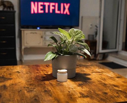 Ruhiges Apartment mit großem Balkon und Stellplatz