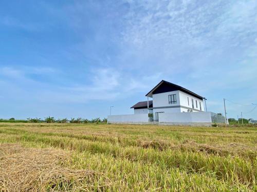 Rumah Burong - A home in a lush paddy field