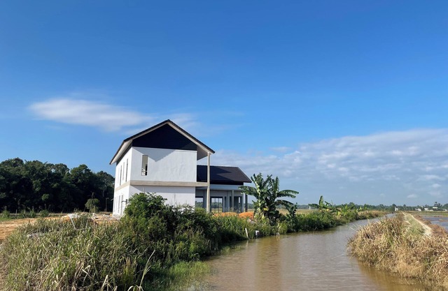 Rumah Burong - A home in a lush paddy field