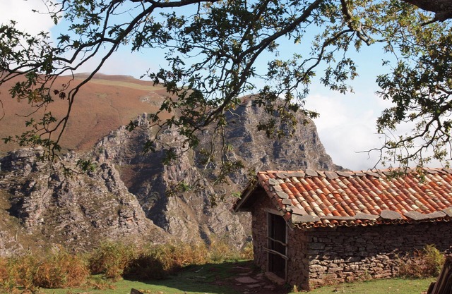 Rural Apartments type Suite