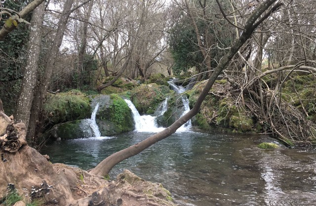 RURAL HOUSE NACIMIENTO DEL HUEZNAR -TOMILLO 17