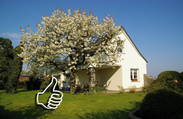 Rural holiday home amidst nature near Dresden