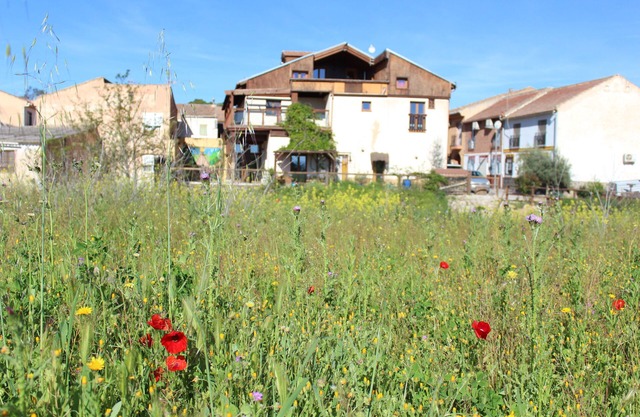 Rural house (full rental) La Choza de Trasmulas (up to 33 people)