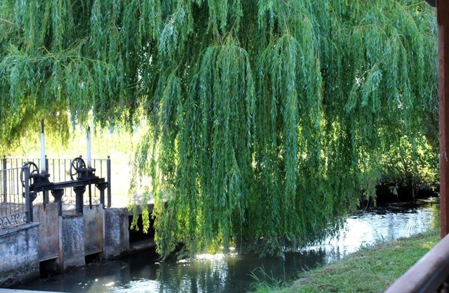 Rural House 'Molino El Sotillo' with Private Garden and Wi-Fi