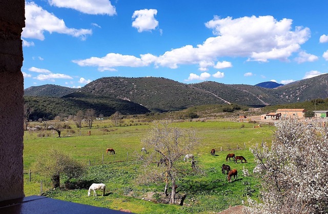 Rural house with swimming pool in the Cabañeros National Park