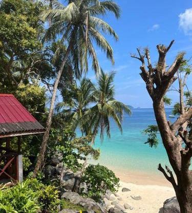 SALANG SAYANG RESORT PULAU TIOMAN