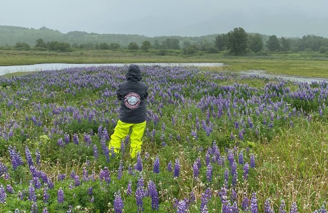 Saltery Adventures Remote Loft Cabin