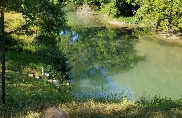 San Marcos River Cabin/Property - Fentress , - on the river