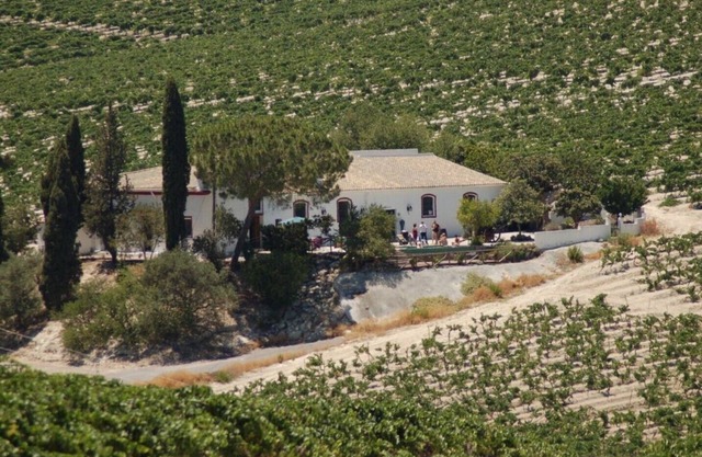 Santa Petronila Vineyard, Santa Petronila Vineyard