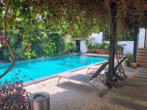 Santa Tera Homely 1&2bhk Apartments With Common Pool & Kitchen & Security & Wifi, Near to Candolim