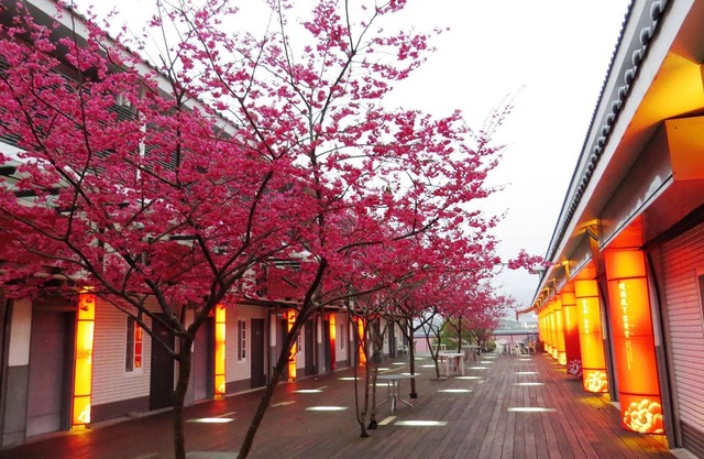 Sanyi Sakura Resort