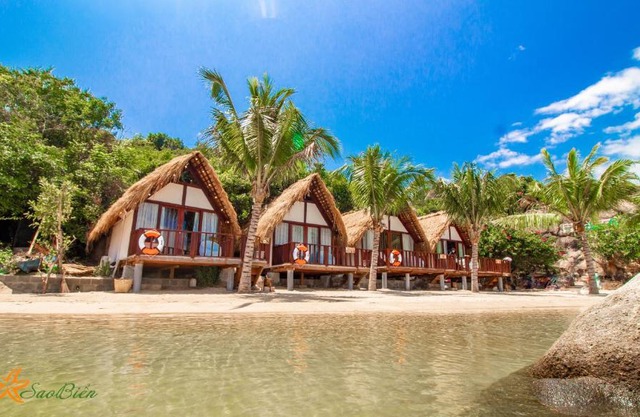 Sao Biển Cam Ranh - Starfish Cam Ranh