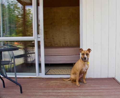 Sapphire Springs Holiday Park and Thermal Pools