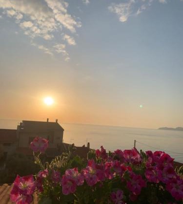 Sardegna casa vacanze La bouganville