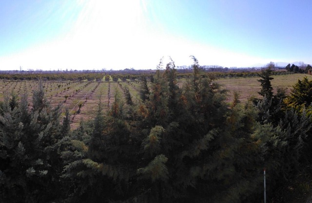 Scanzano Ionico: holiday on a farm near the sea
