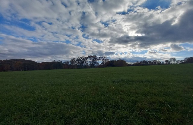 Scenic View - this farm has it all!