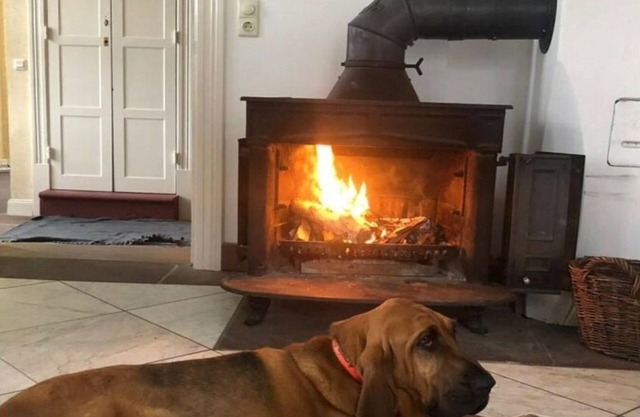 Schöne Wohnung in Hessen mit Ruhebereich