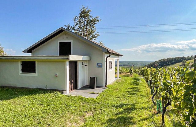 Schoenes Ferienhaus Eisenberg