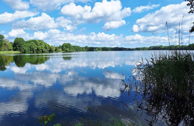 "Schwalbennest" modern, air-conditioned vacation apartment, close to Plau am See.