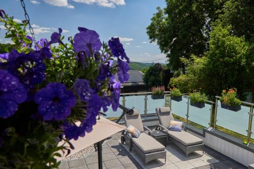 Schwarzer Kater Blankenheim