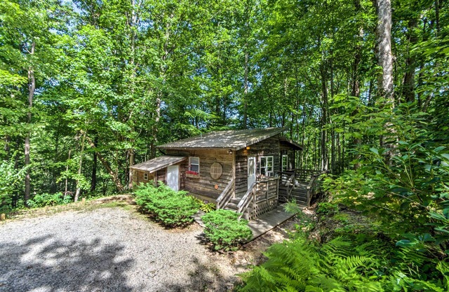 Screened Porch: ‘The Coop’ Robbinsville Cabin!