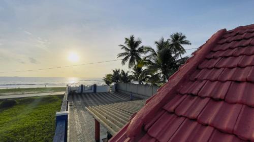 Sea Shells by Malpe - Udupi