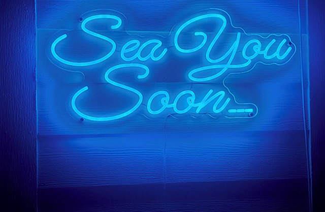 Sea You Soon! 2B/2Ba Canal Front Condo at Key Allegro, Rockport