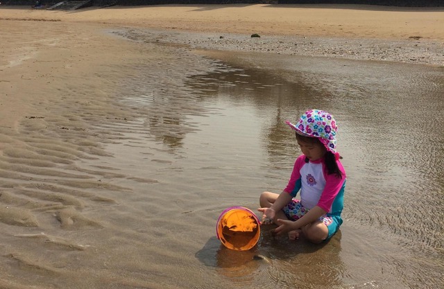 Seafront villa with private infinity edge 16 m. pool