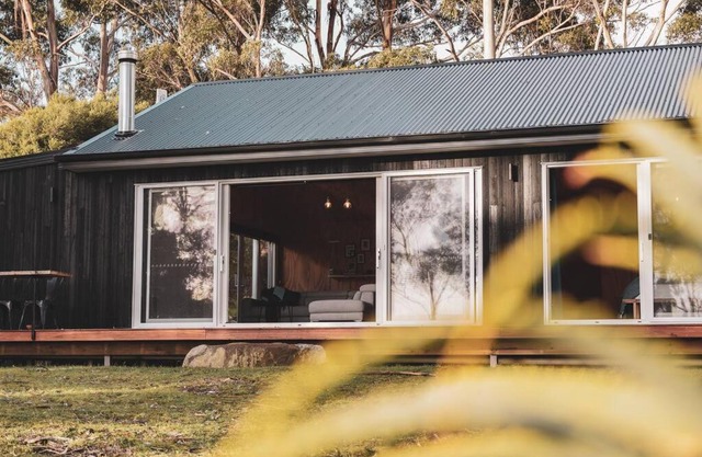 Seagrass on Sunset Bay