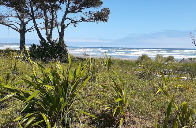 Seaside beach studio loft, sheltered garden and cycle trail access. Great value.