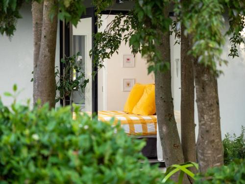 Seedlings - at Verve flower farm