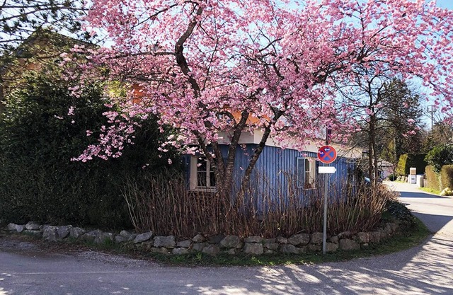 Seeloft Seeshaupt - Loft apartment on Lake Starnberg
