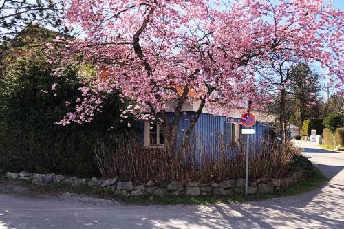 Seeloft Seeshaupt - Loft-Appartement am Starnberger See