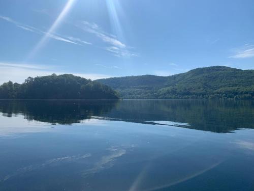 Sehr schöne ufernahe ebenerdige Ferienwohnung Pura Vida auf der Halbinsel Scheid