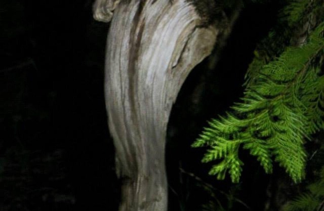 Selah Retreat Guesthouse B&B - "Defining Tranquility, Beauty and Excellence!"