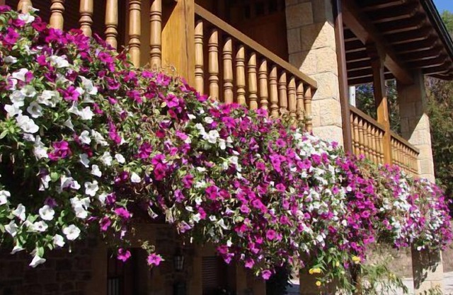 Self catering La Real de Piasca for 7 people