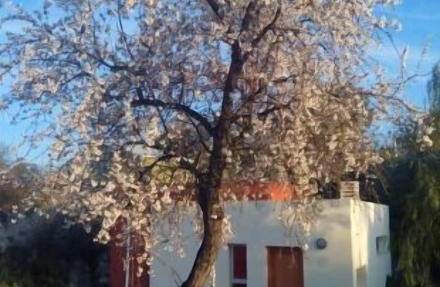 Self catering cottage La Aldea for 4 people