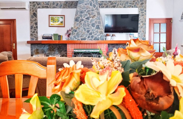 Self catering El Olmo for 20 people