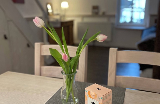 Separate old town apartment with loft.