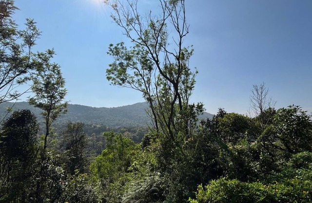 Serene 2-bedroom estate in Somvarpet with stunning views