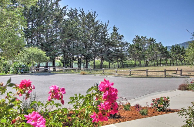 Serene Bungalow-style Home in Point Reyes Station!