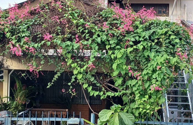 Serene Mountain Retreat in KL - Entire House for Rent