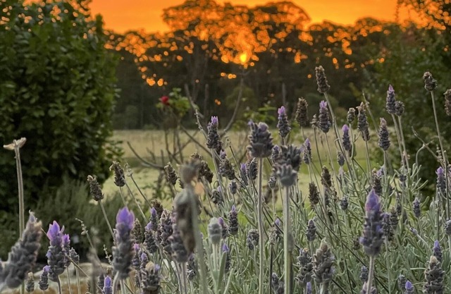 Serenity on Stanthorpe