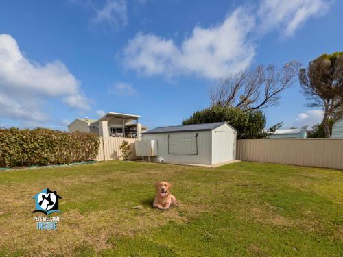 Shaka Seaside Retreat with Beach Access