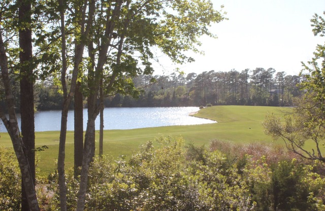 Share Our Home at True Blue Golf & Tennis Resort