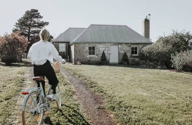 Shepherd's Story, Ross