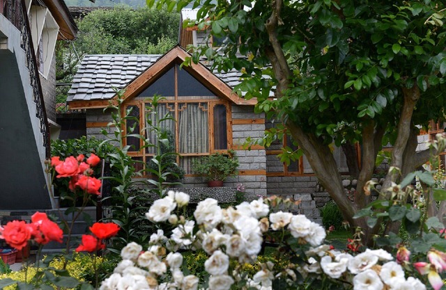 Shoran in Treetops Cottage - Detached bungalow
