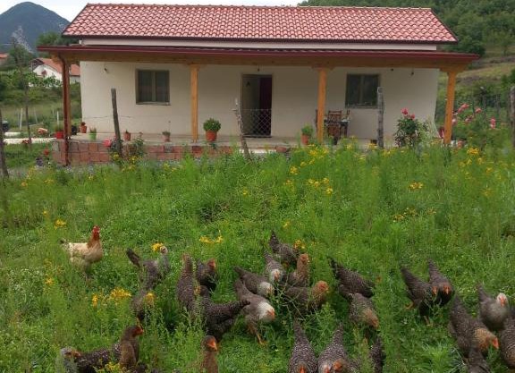 Shpija E AMEL (Sweet Guest House)