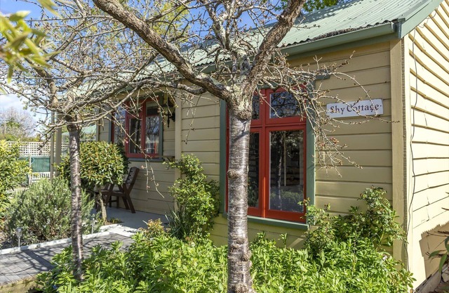 Shy Cottage - Boutique accommodation in Greytown