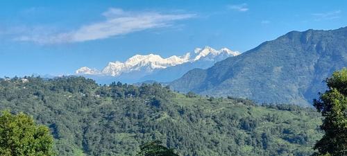 Silent Echo Farm Stay